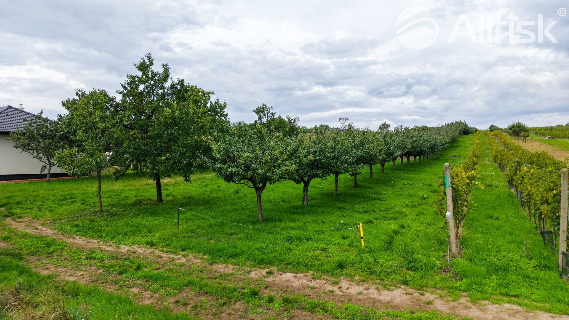 Pozemky pro bydlení, Starý Poddvorov - 1