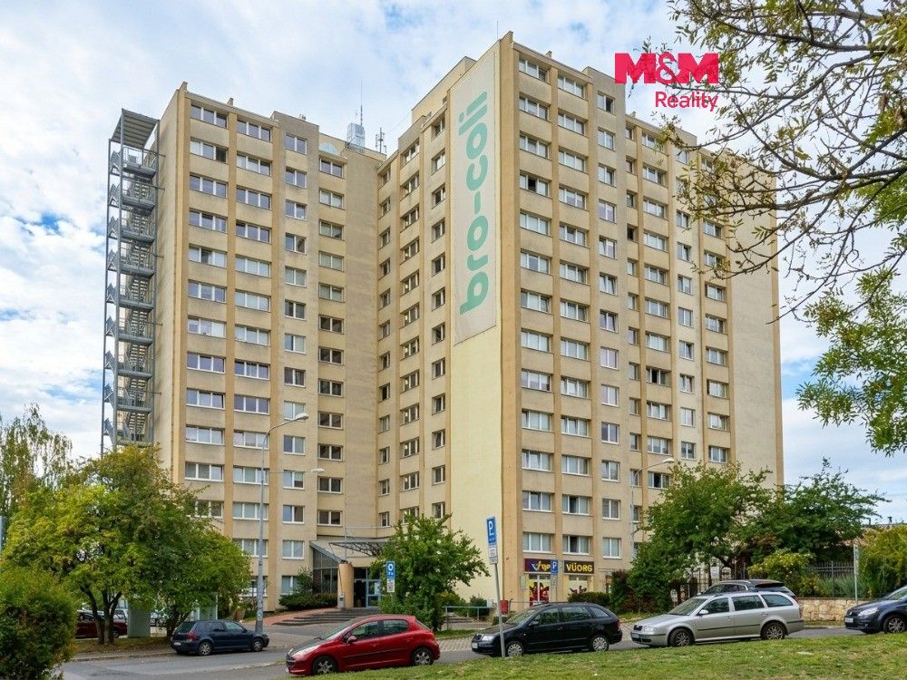 1+kk, Děčínská, Praha, 24 m²