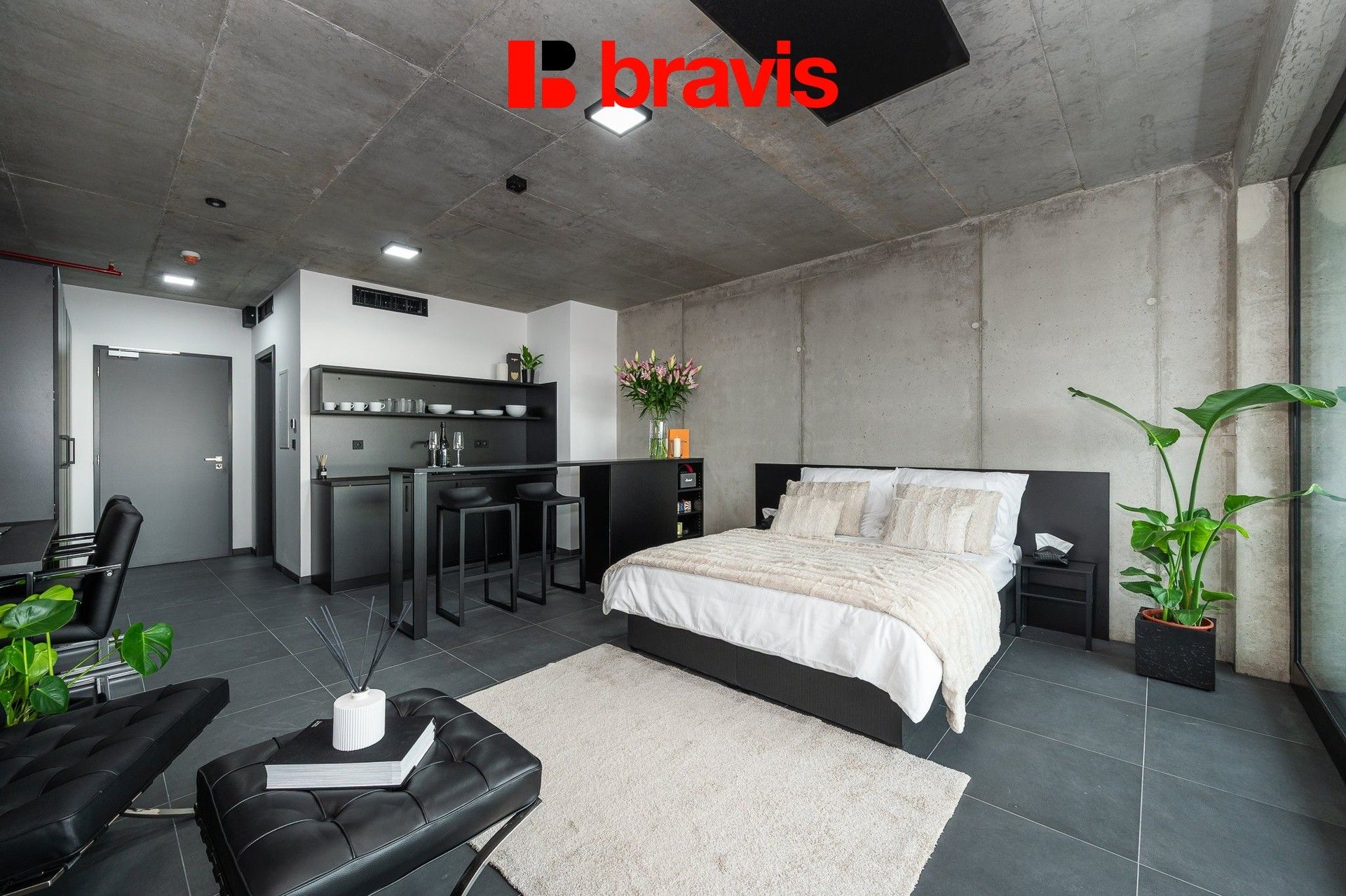 Pronájem byt 1+kk - Královopolská 3052, Brno Žabovřesky, 48 m² - 5