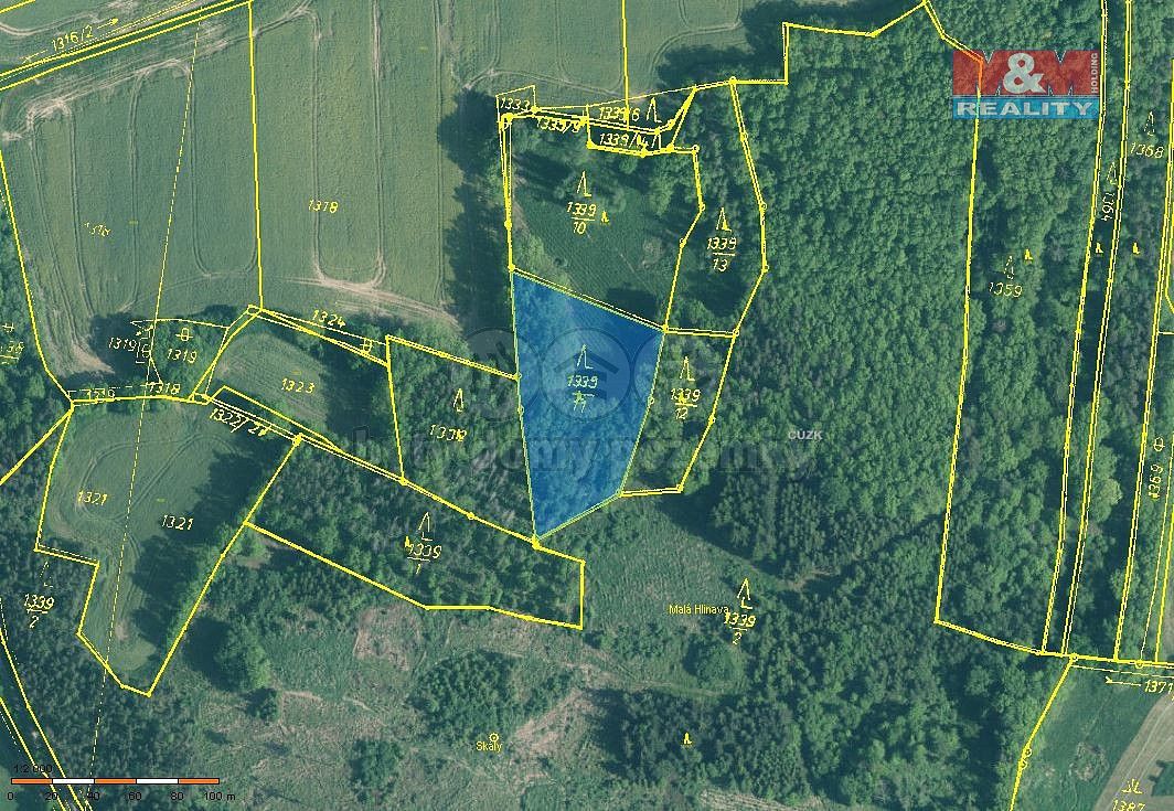 Les · Skály, okres Písek, Jihočeský kraj - 3