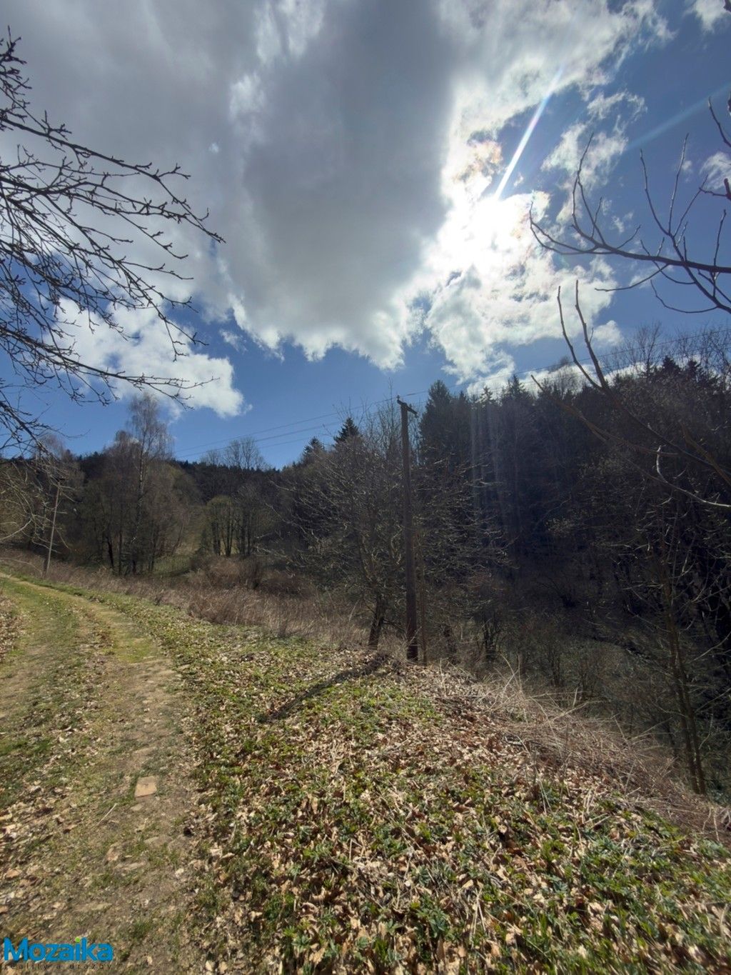 Louky, Výprachtice, 9 974 m² - 2
