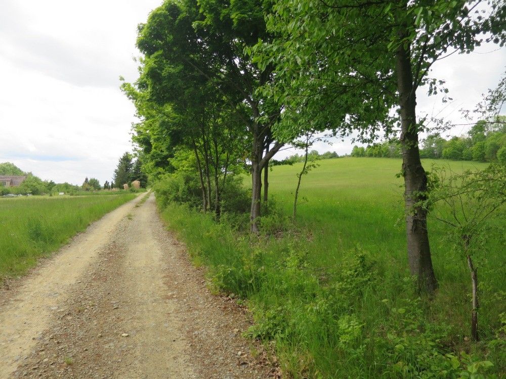 Pozemky pro bydlení, 391 32, Tábor - 1