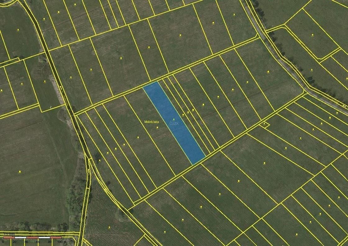 Prodej louka - Třeboň