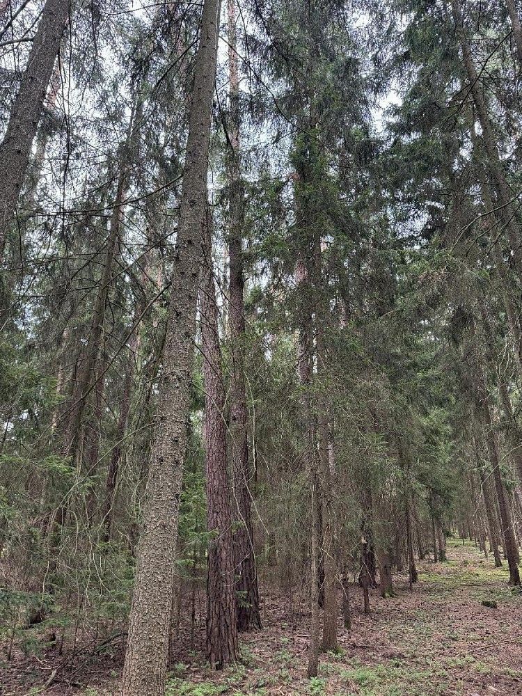 Les, 5 088 m²