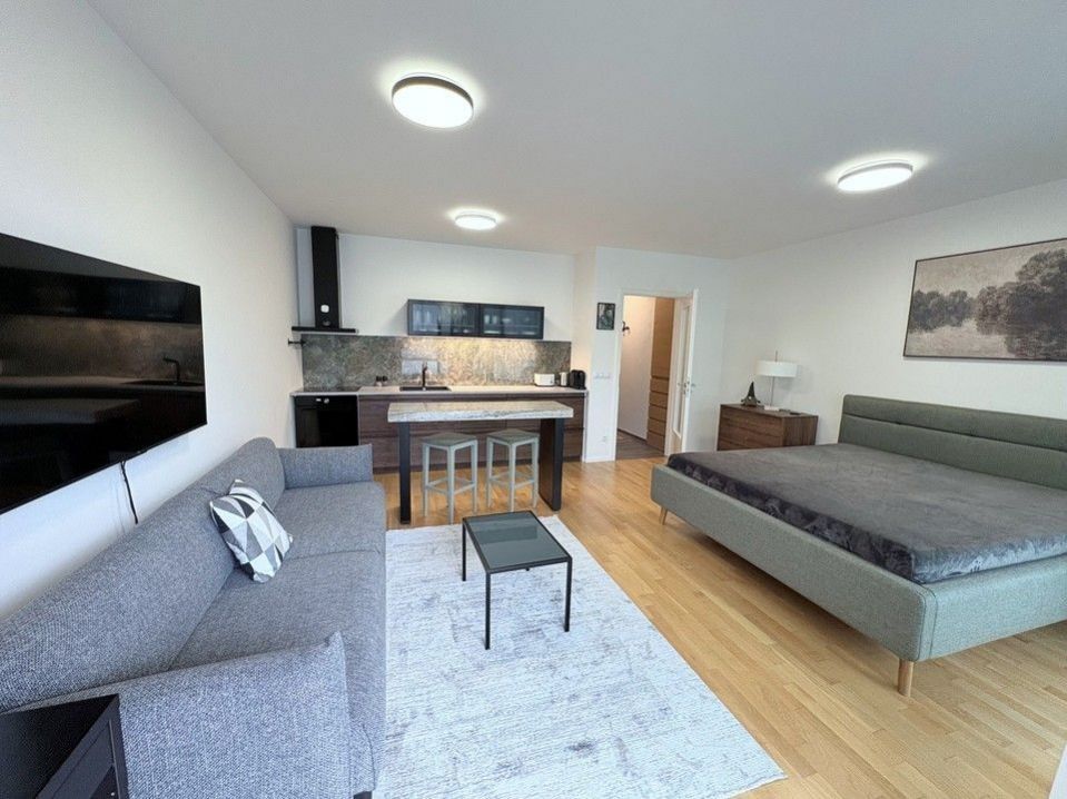 Pronájem byt 1+kk - Krásova, Praha, 45 m² - 5