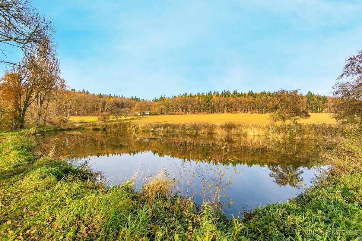 Pozemky pro bydlení, Klatovy, 339 01