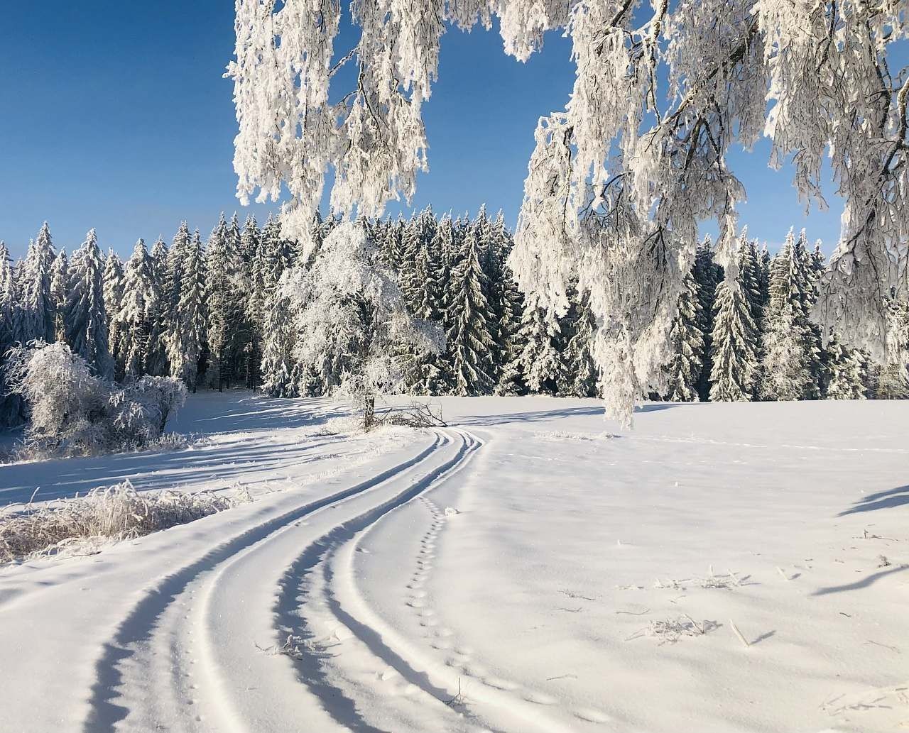 Chata · Prachatice - Libínské Sedlo, Jihočeský kraj - 3