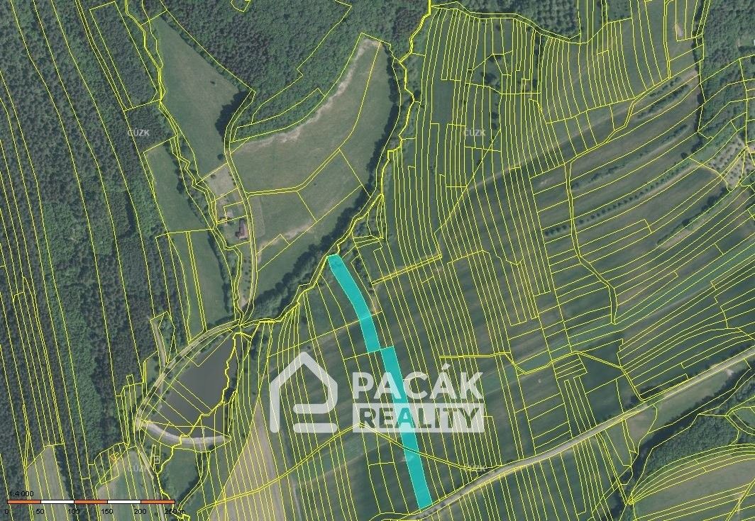 Prodej zemědělský pozemek - Loučka, 19 687 m²