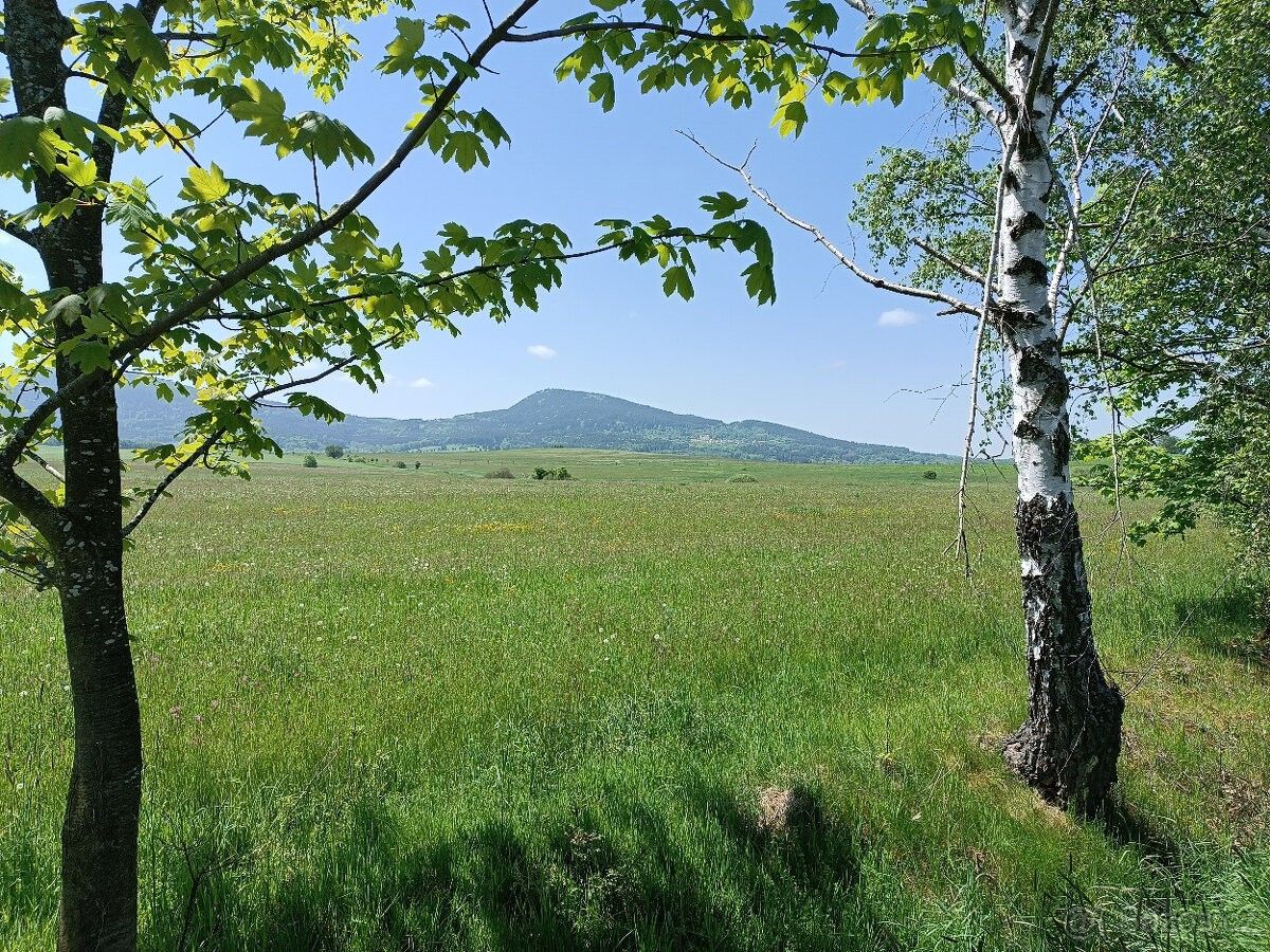 Prodej pozemek pro bydlení - Jílovice u Trhových Svin, 373 32 - 5