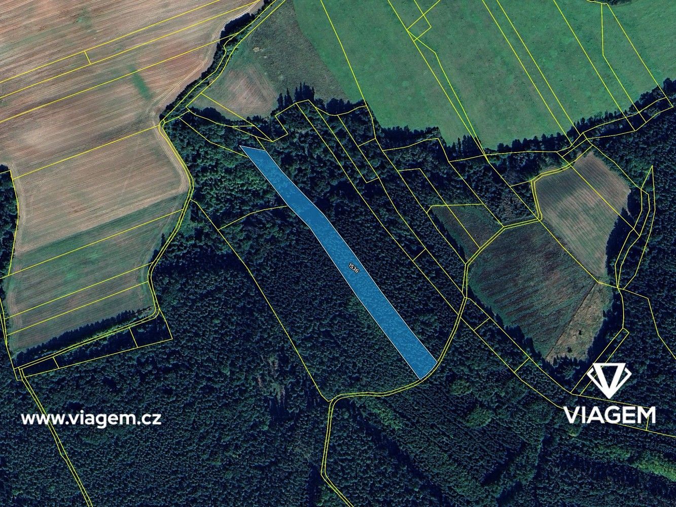 Les · Pnětluky, okres Louny, Ústecký kraj - 4