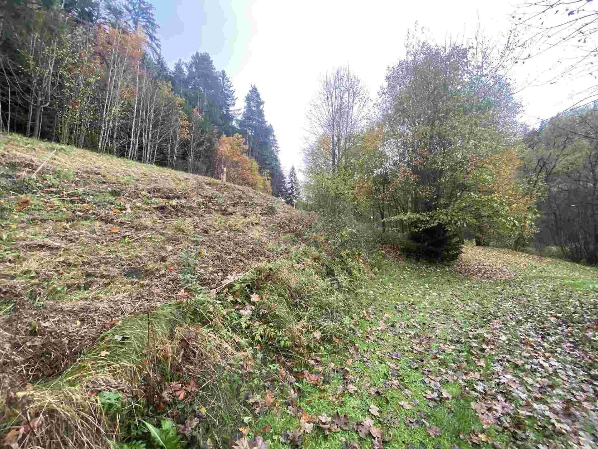 Prodej pozemek - Hartmanice, 2 m²