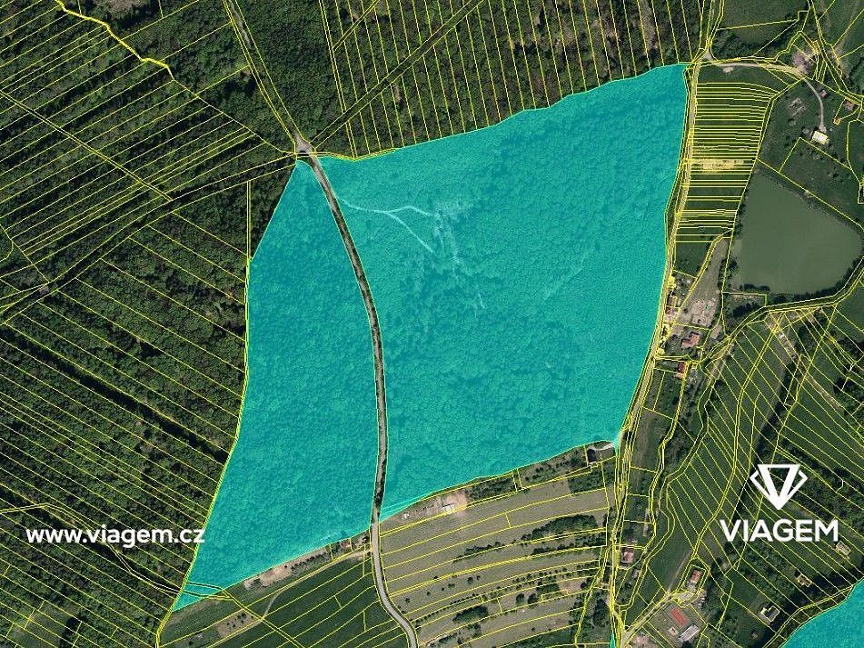 Les · Šanov, okres Zlín, Zlínský kraj - 3