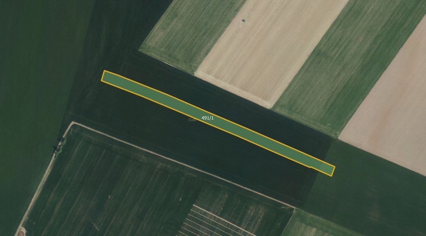 Prodej zemědělský pozemek - Radim, Luže