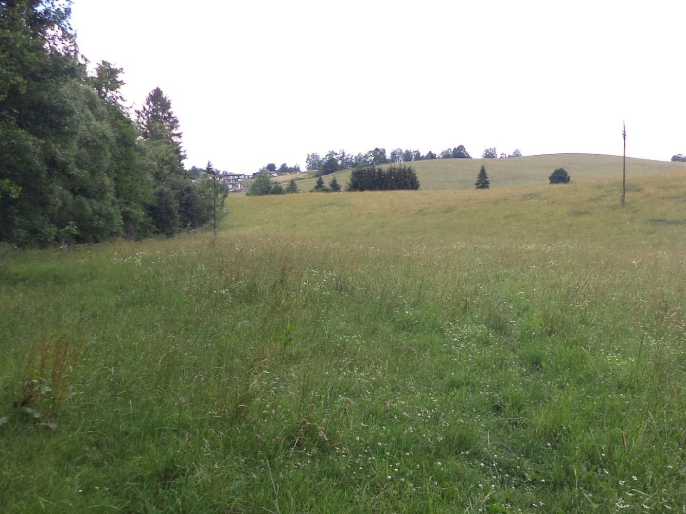 Zemědělský pozemek, 10 957 m²
