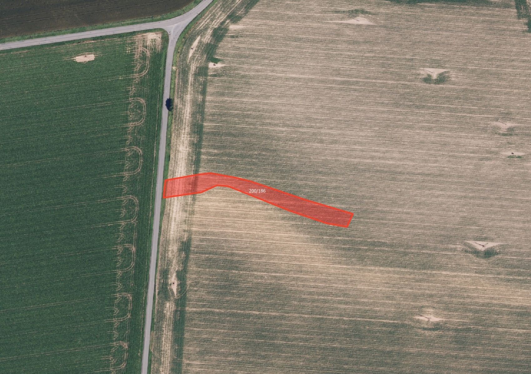 Prodej zemědělský pozemek - Štarnov - 2