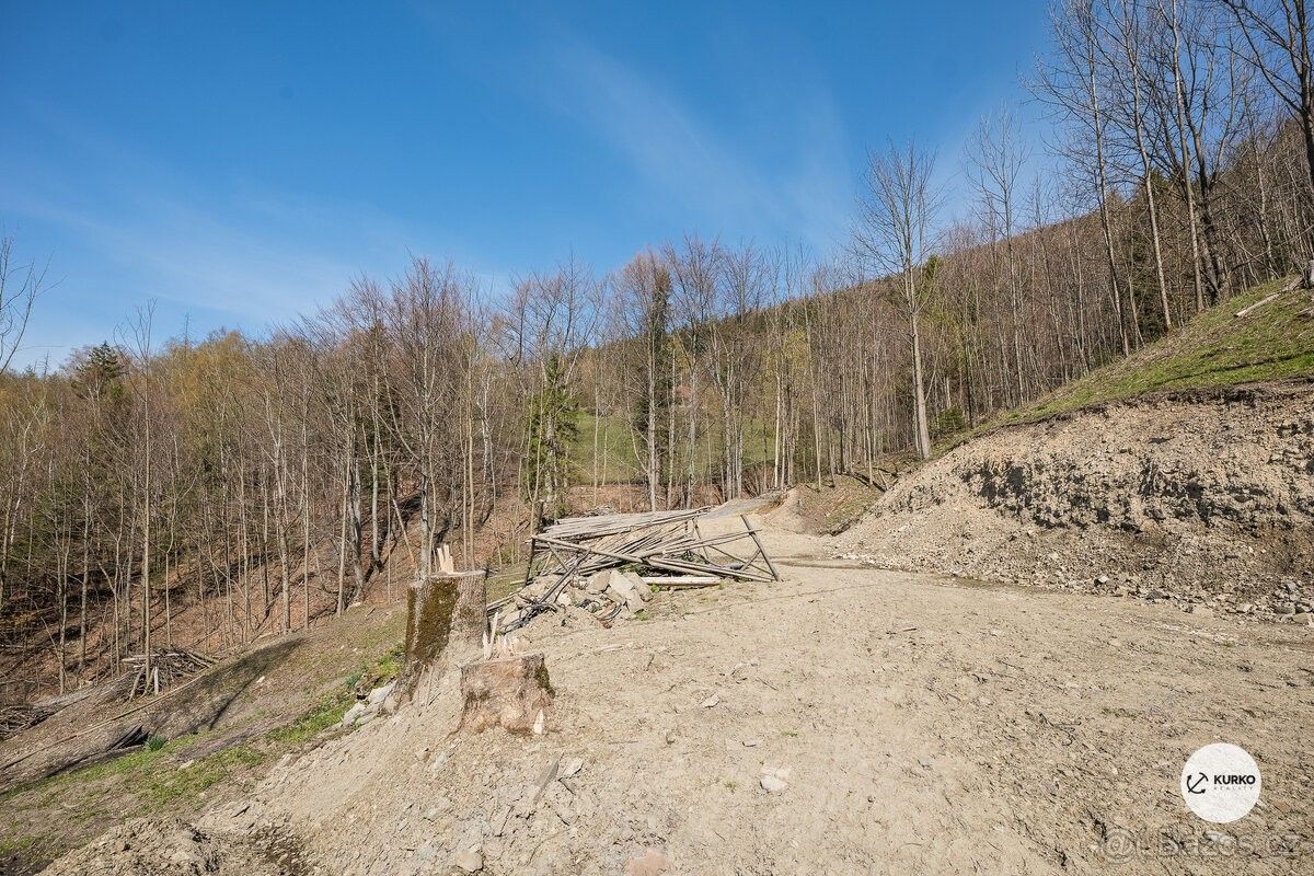 Pozemky pro bydlení, Pražmo, 739 04 - 2