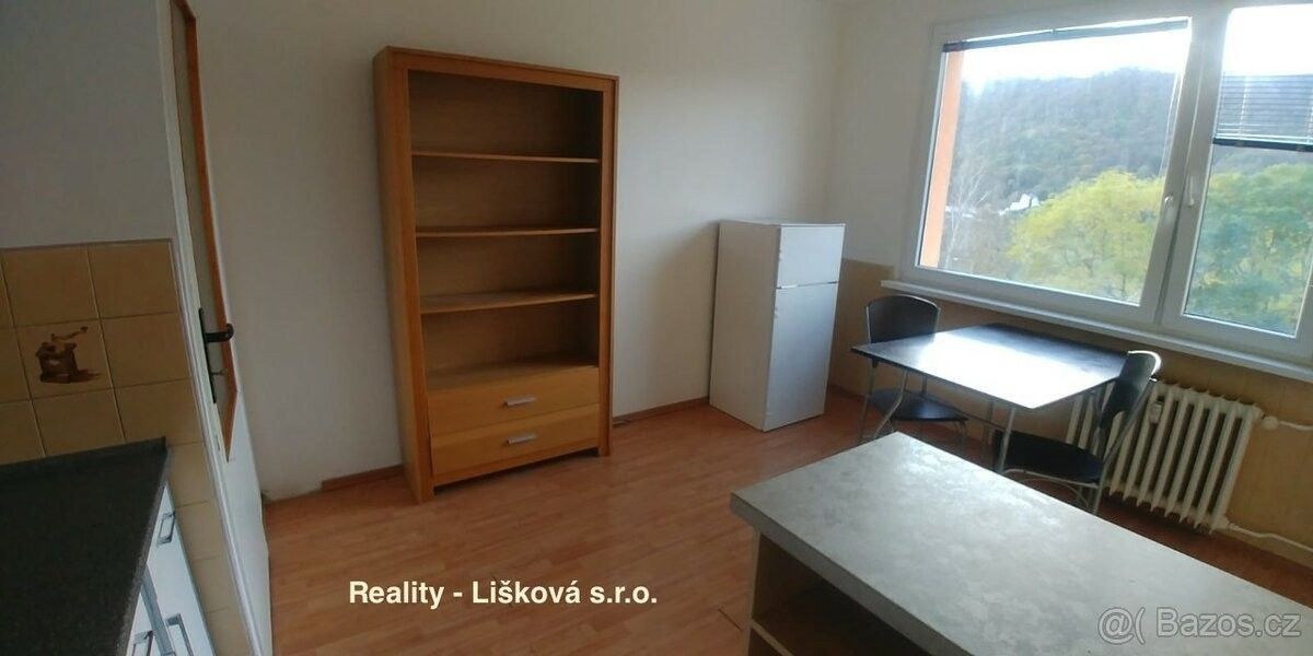 Pronájem byt 1+1 - Ústí nad Labem, 400 03, 39 m²