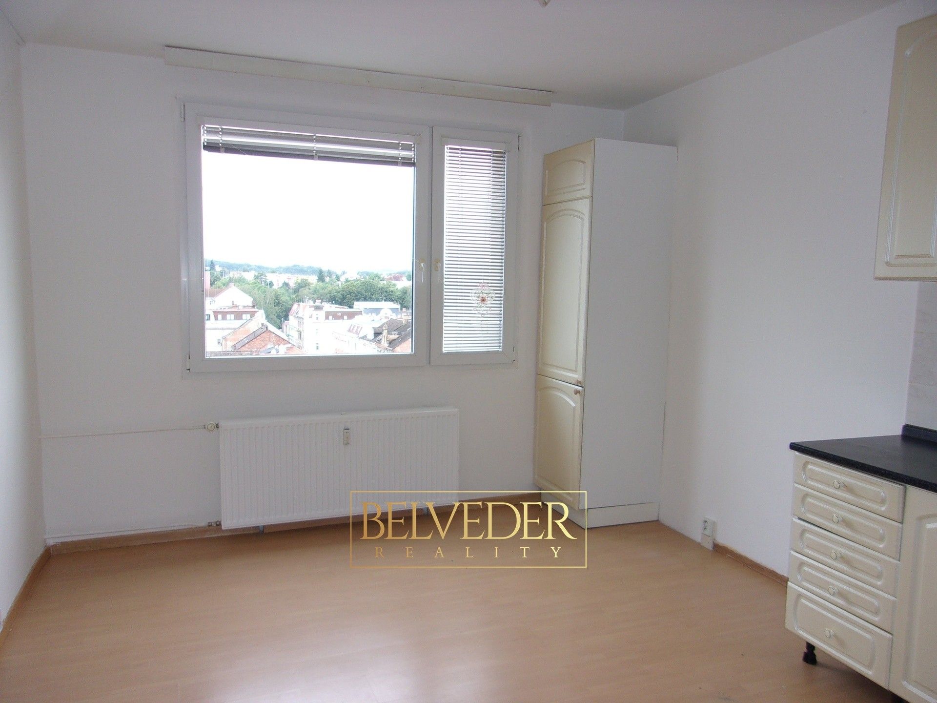 Pronájem byt 1+1 - Antala Staška, Teplice, 35 m²