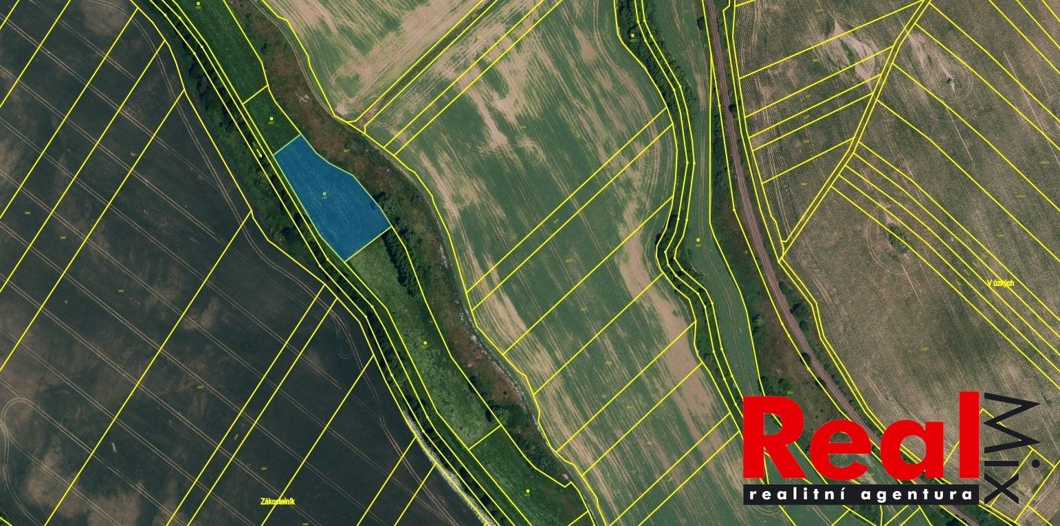 Prodej zemědělský pozemek - Blížkovice