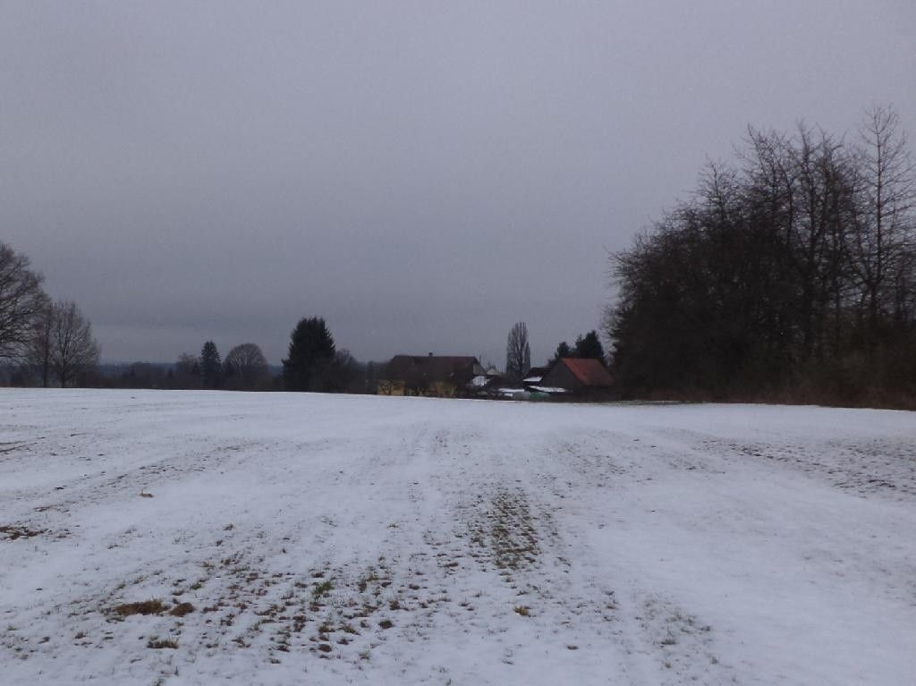 Prodej zemědělský pozemek - Mariánské Lázně, 353 01, 15 600 m²