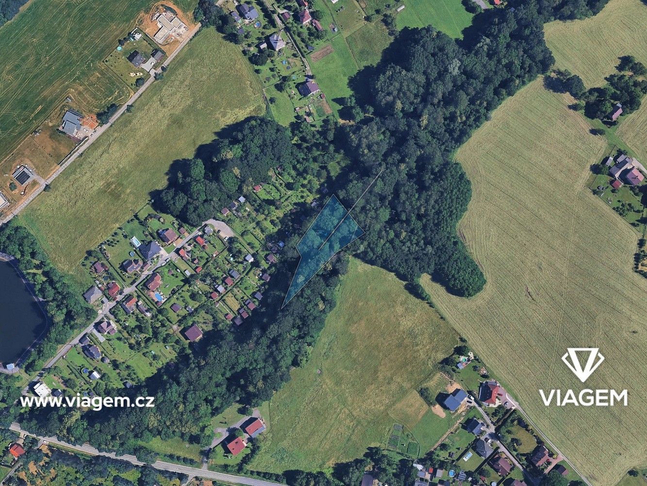 Les · Český Těšín, okres Karviná, Moravskoslezský kraj - 2