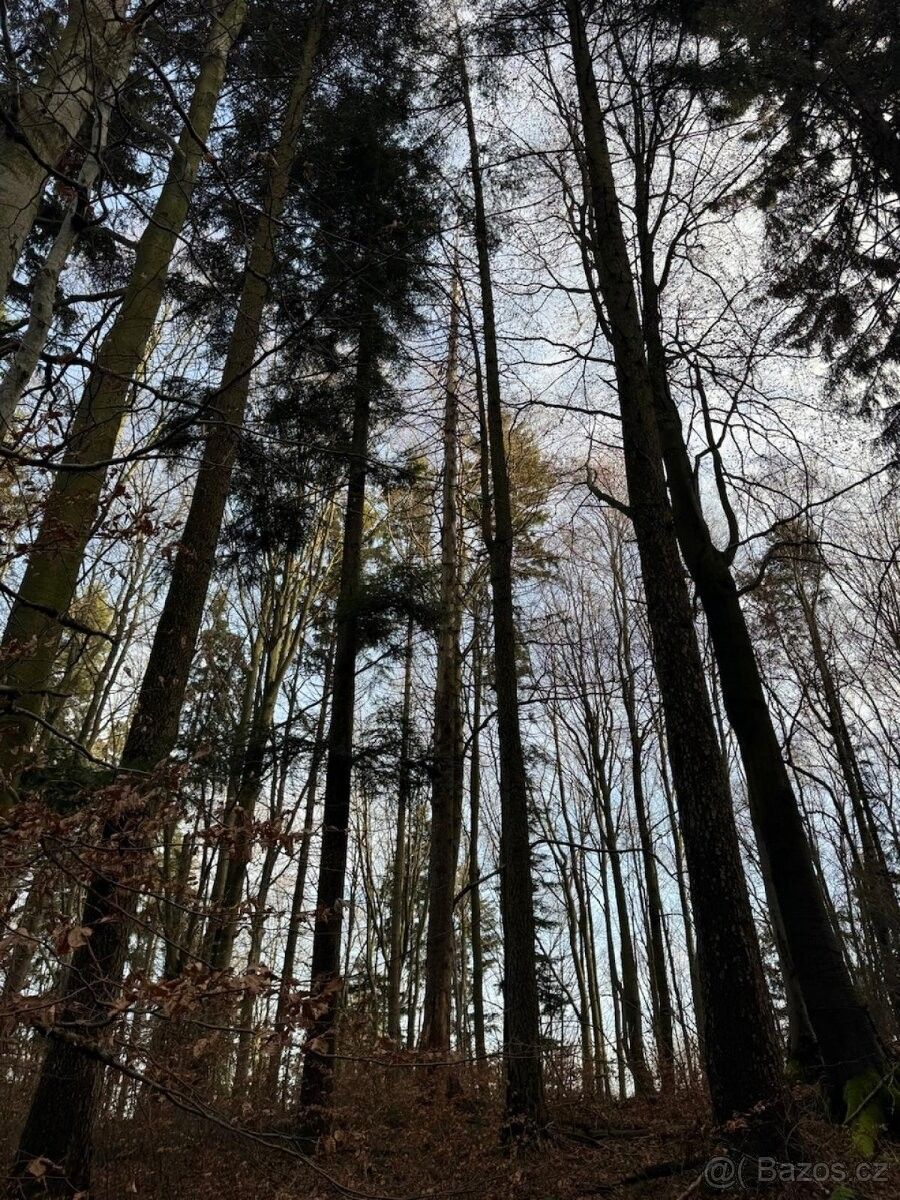 Prodej pozemek pro bydlení - Halenkov, 756 03