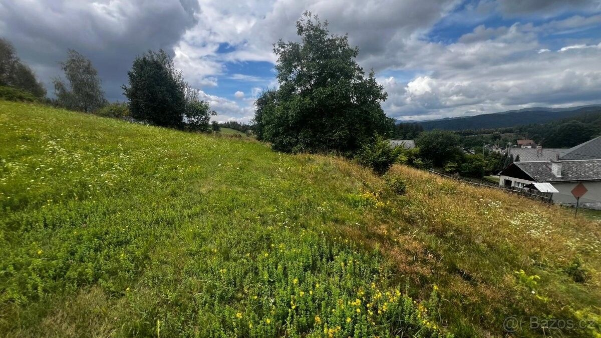 Prodej pozemek pro bydlení - Ruda nad Moravou, 789 63 - 5