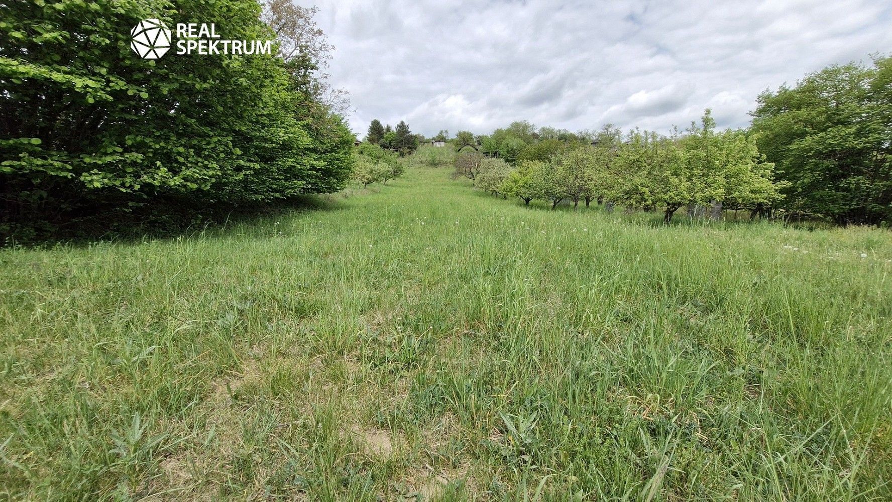 Prodej chalupa - Sivice, okres Brno-venkov, Jihomoravský kraj, 10 m² - 5