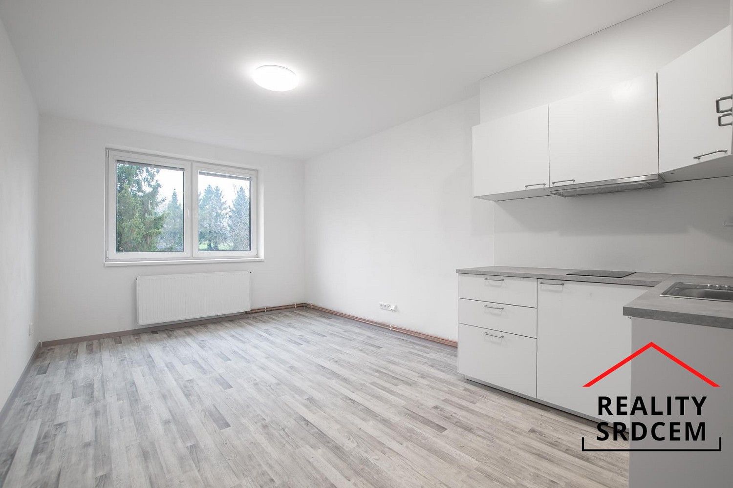 1+kk, Bílovec, okres Nový Jičín, Moravskoslezský kraj, 28 m² - 2
