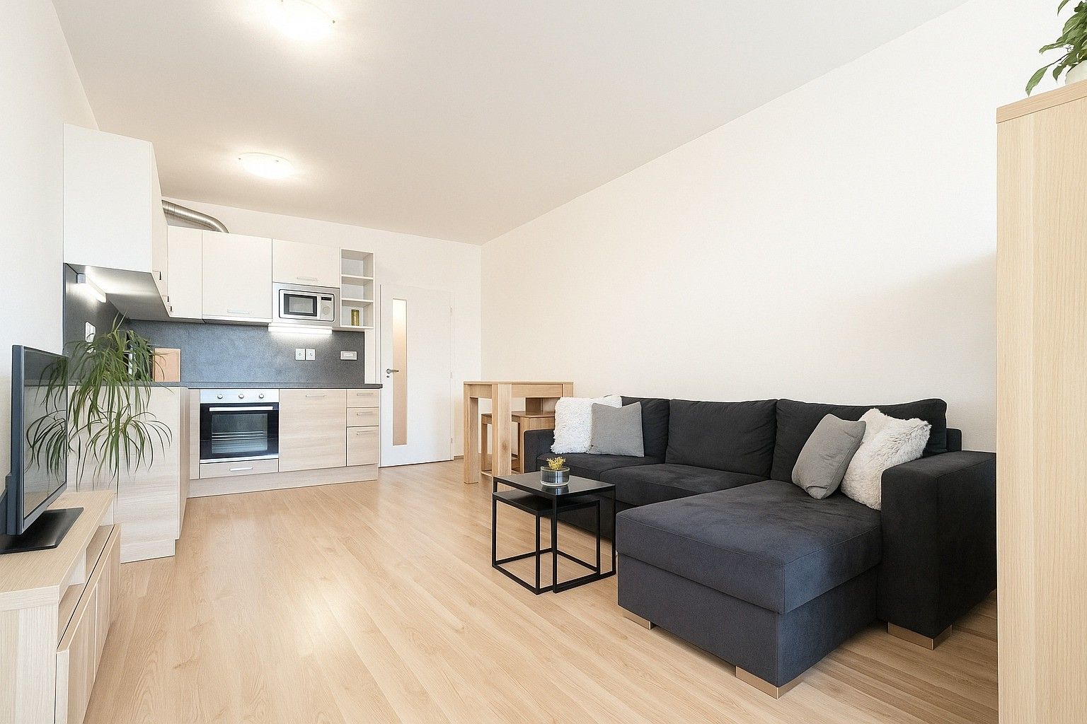 1+kk, Kigginsova, Brno, 39 m²
