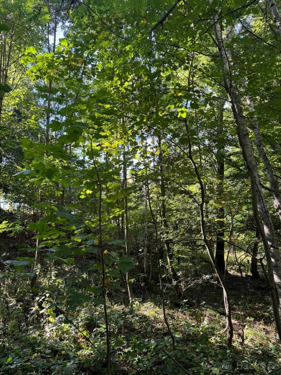 Pozemky pro bydlení, Hořice v Podkrkonoší, 508 01