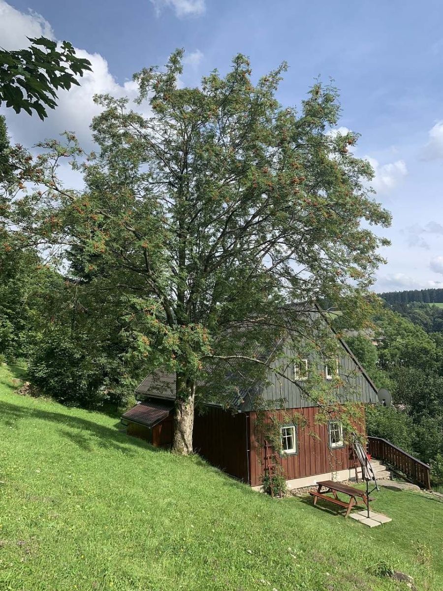 Chata · Olešnice v Orlických horách - Olešnice v Orlických horách, Královéhradecký kraj - 3