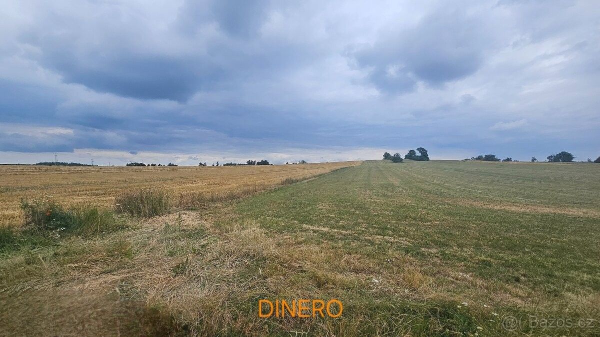 Pozemky pro bydlení, Náměšť nad Oslavou, 675 71