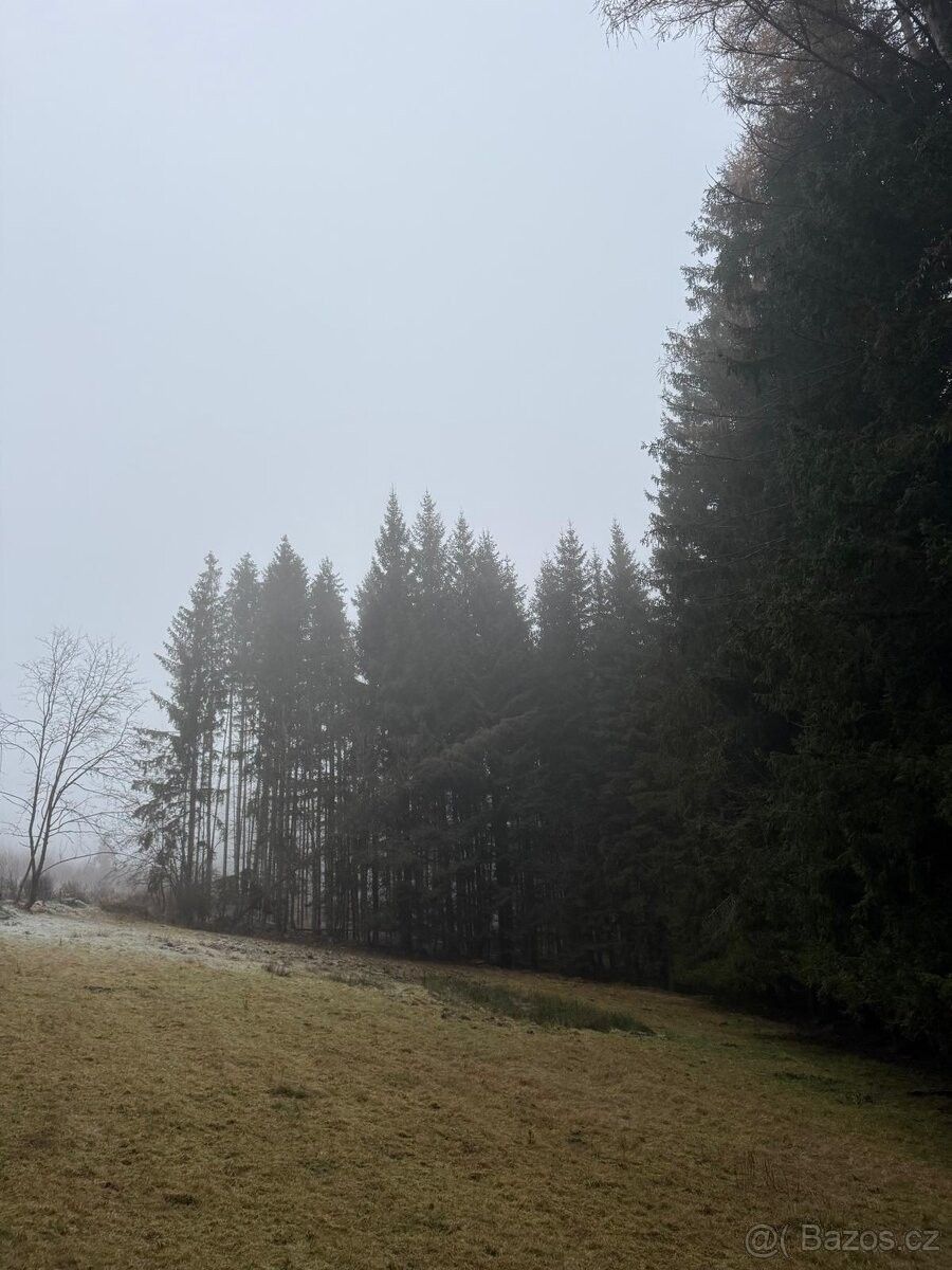 Pozemky pro bydlení, Stachy, 384 73