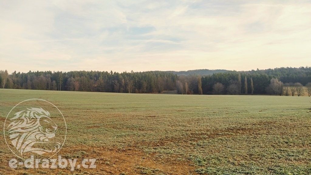 Zemědělské pozemky, Defurovy Lažany, Chanovice, 11 891 m²