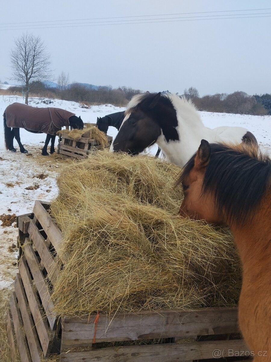 Pronájem byt - Doksy, 472 01