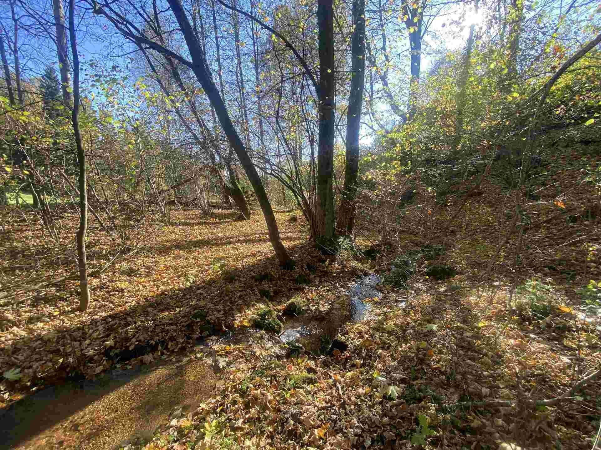 Pozemek · 449 m² · Lučany nad Nisou Jindřichov - 4