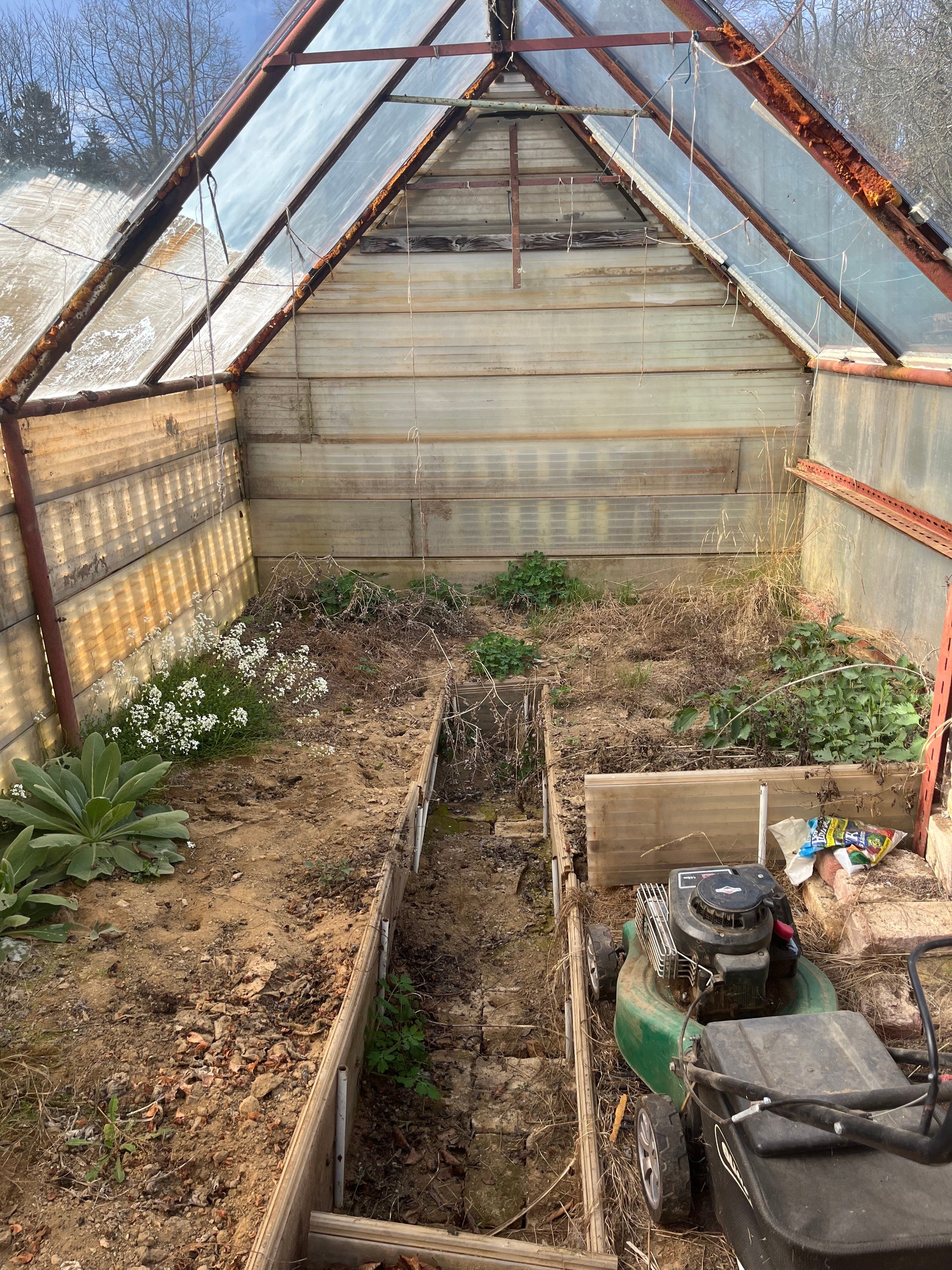 Prodej zahrada - Aš, 409 m²