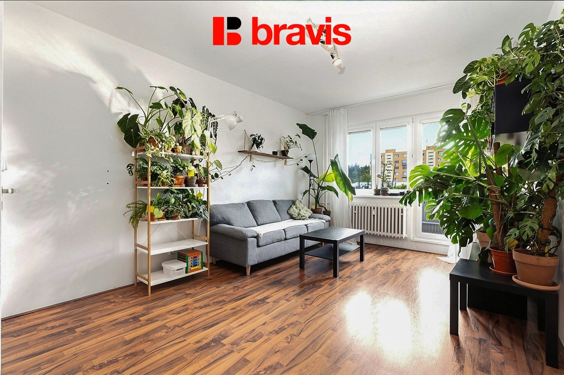 Prodej byt 2+1 - Pšeník 372, Brno Štýřice, 55 m² - 5