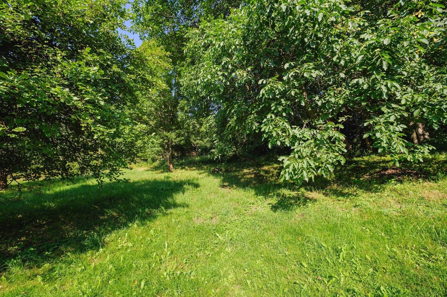 Pozemek pro bydlení · Zlatá Olešnice, okres Jablonec nad Nisou, Liberecký kraj - 4