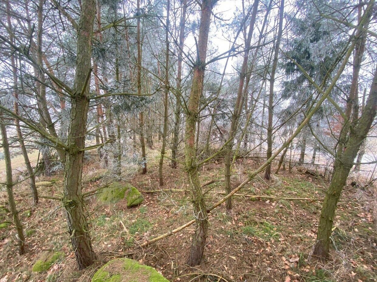 Zemědělský pozemek · 13 059 m² · Slatina - 4