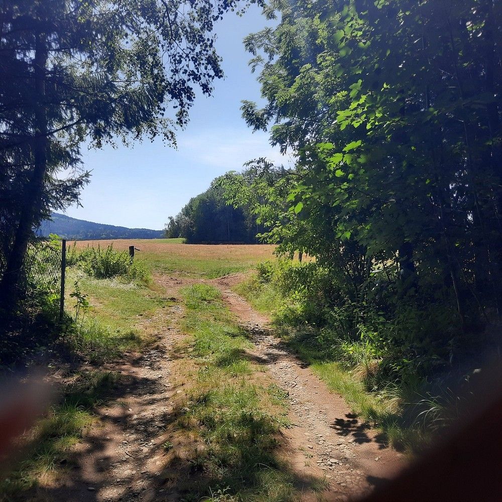 Prodej louka - Benešov nad Černou - Hartunkov, okres Český Krumlov, Jihočeský kraj - 5