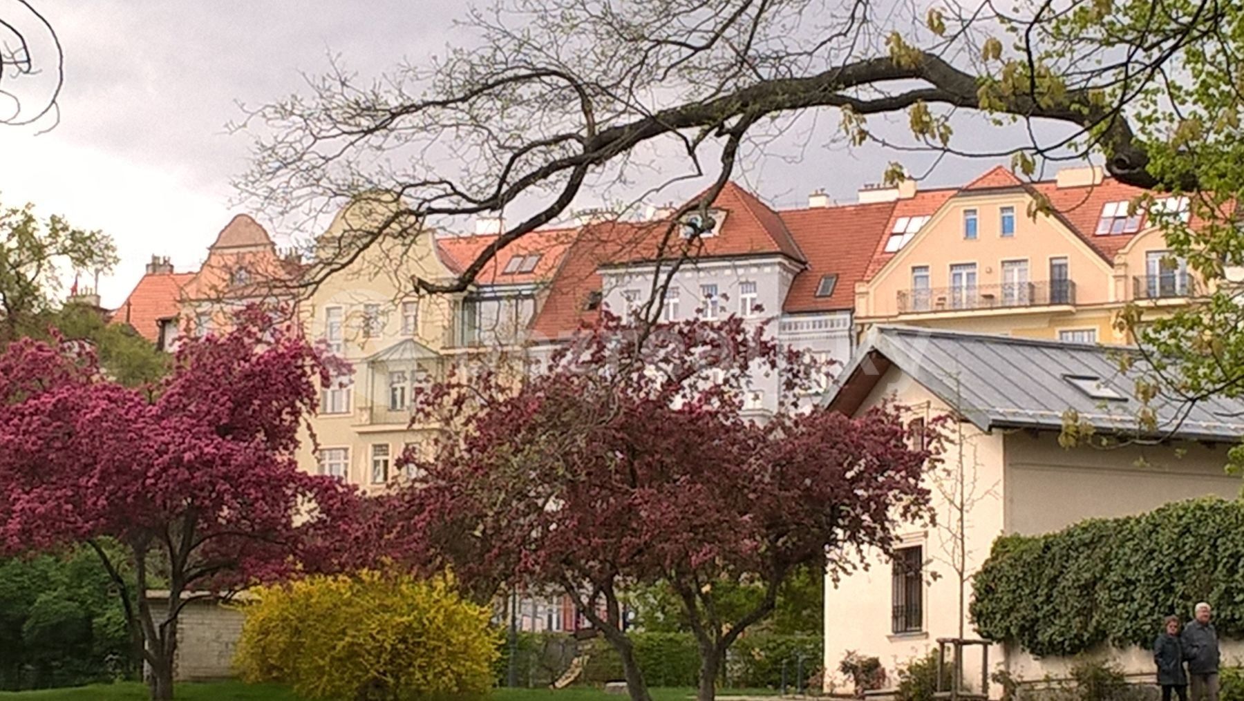 1+kk, U Havlíčkových sadů, Praha - Vinohrady, 35 m² - 2