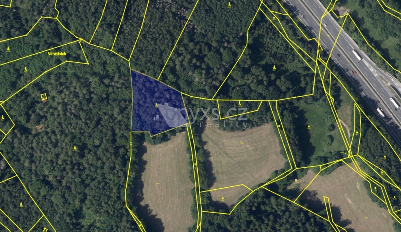Lesy, Všešímy, Kunice, 4 613 m² - 1
