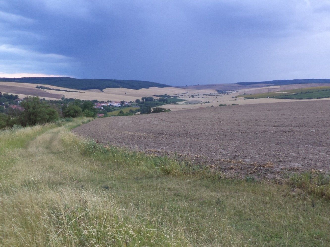 Zemědělské pozemky, Morkůvky, okres Břeclav, Jihomoravský kraj - 1