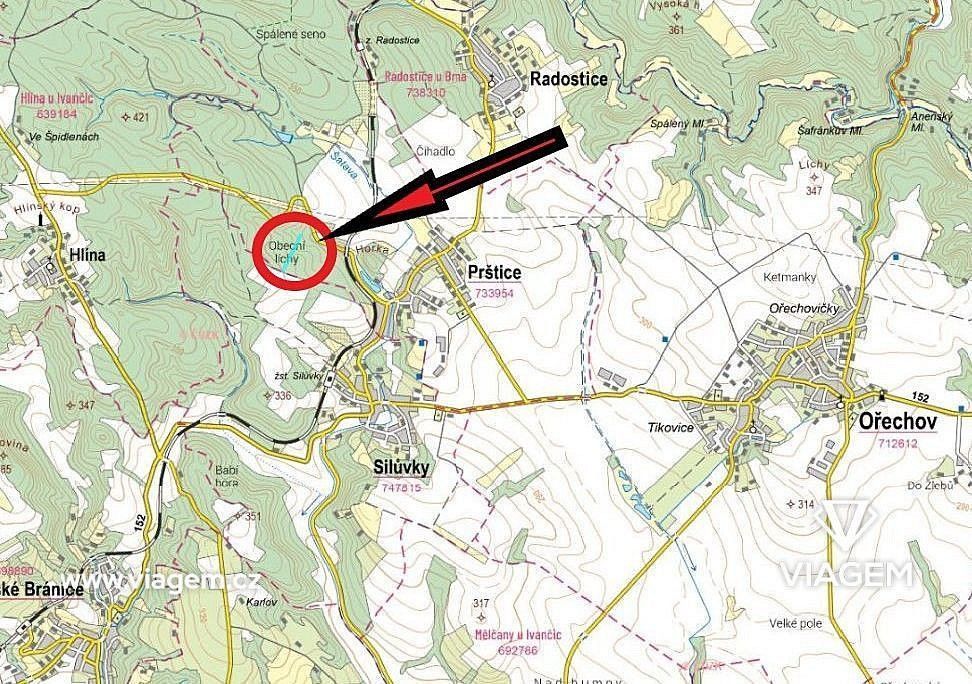 Les · Prštice, okres Brno-venkov, Jihomoravský kraj - 4