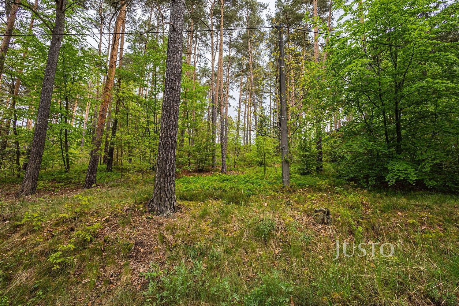 Prodej pozemek pro bydlení - Hamr na Jezeře, okres Česká Lípa, Liberecký kraj - 5