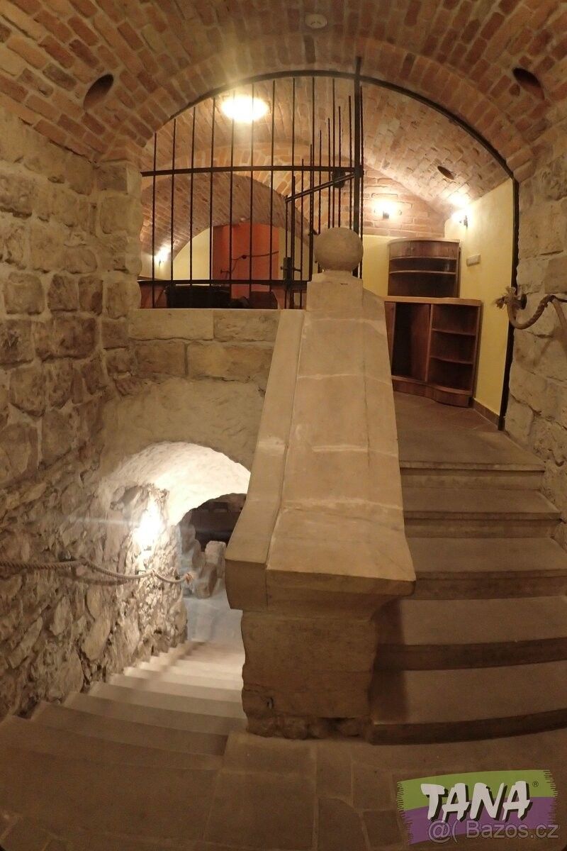 Restaurace, Mnichovo Hradiště, 295 01 - 1
