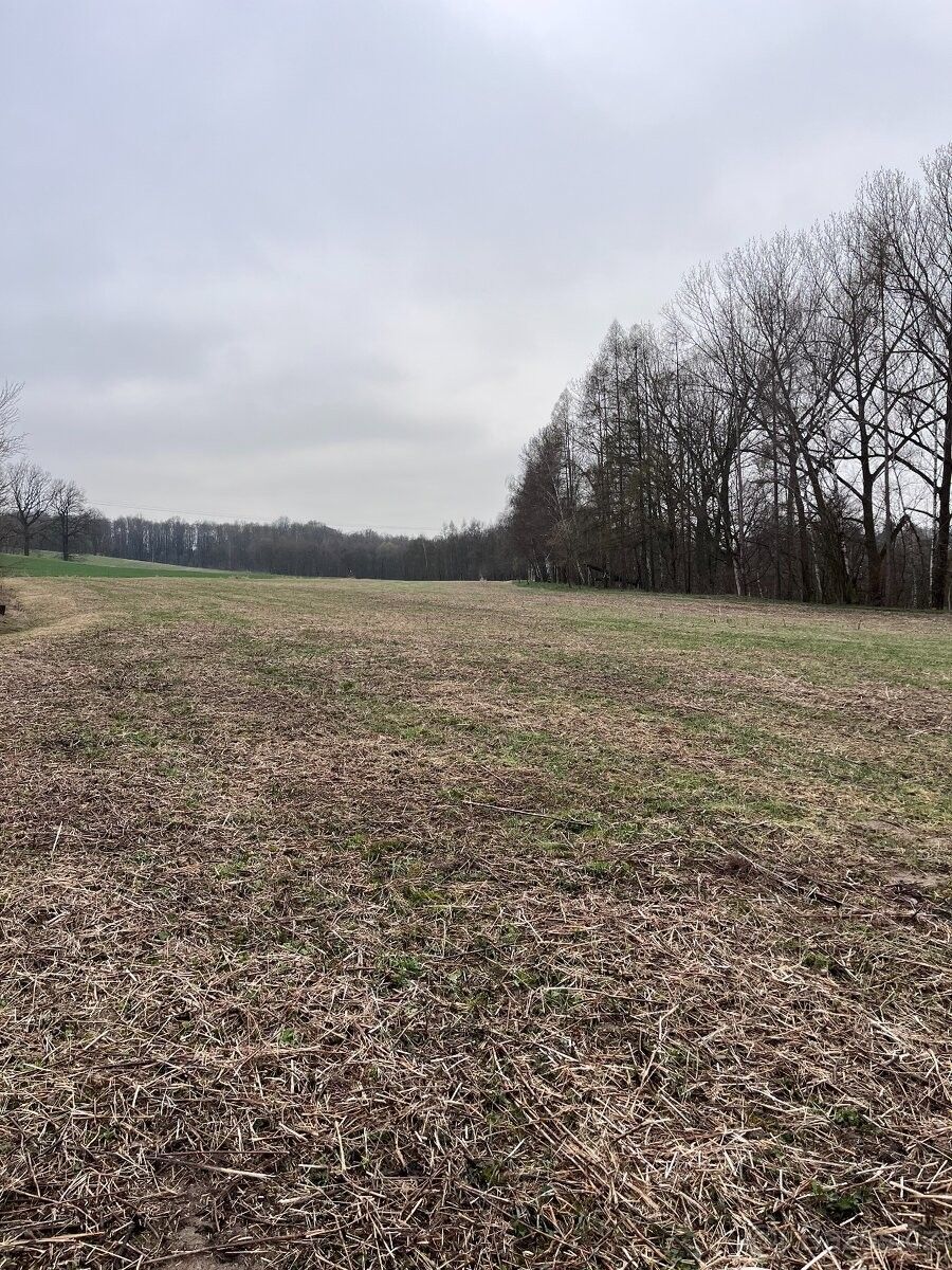 Pronájem pozemek pro bydlení - Petřvald u Karviné, 735 41 - 5