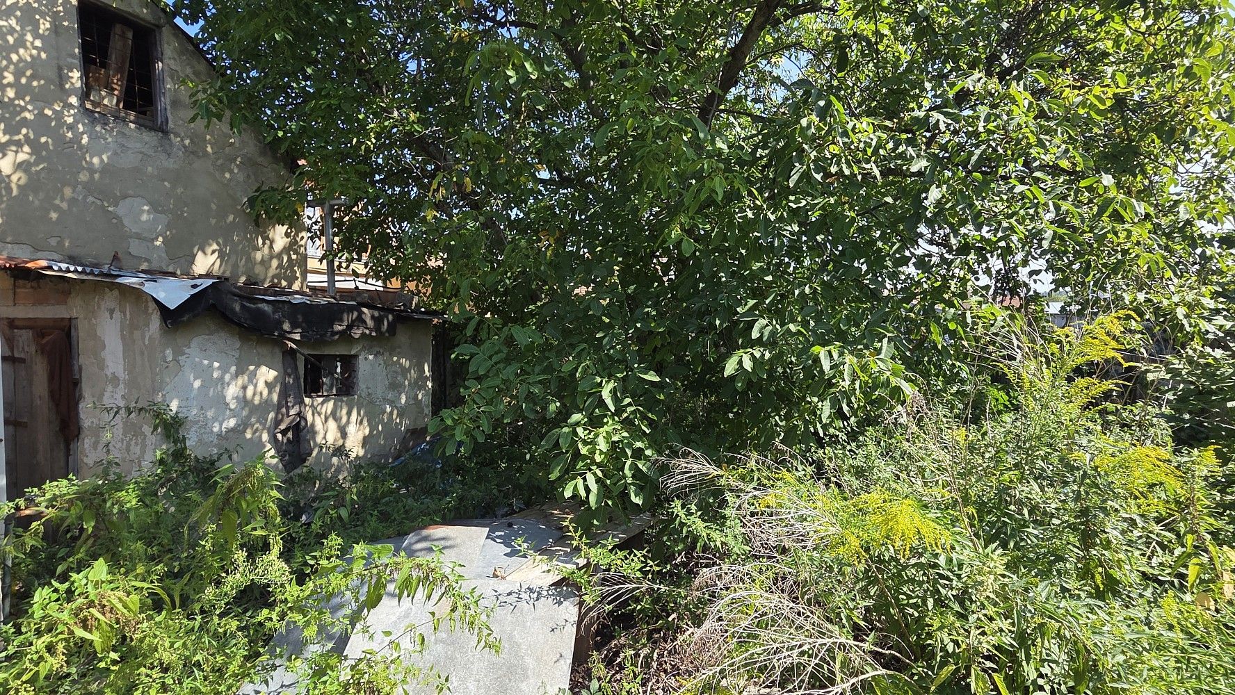 Ostatní, Brno, okres Brno-město, Jihomoravský kraj - 2